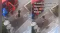 Joven olvida a su perro durante un paseo y can regresa a casa en mototaxi