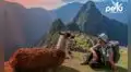 Perú Travel Express, agencia de viajes, alcanza un logro más gracias a Proinnóvate