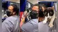 Veterinario muestra que el gatito que rescató no quiere separarse de su lado