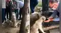 Hombre detiene su caminata y se acerca a un perro callejero para darle un poco de agua 