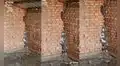 Filma la ‘escalera’ que hicieron unos gatitos que rescató para querer escaparse