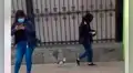 Mujer sale de casa y su pato la sigue detrás como un fiel compañero