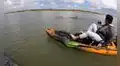 Manada de delfines juega placenteramente con dos kayakistas por un canal intracostero