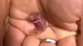 Familia salva la vida de un ratón recién nacido tras encontrarlo en el interior de su casa  