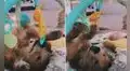 Perrito se acuesta junto al bebé de su dueña, pero se ‘divierte’ con sus juguetes