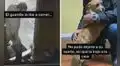 Perrita herida ingresa en un local para refugiarse y propietario decide adoptarla