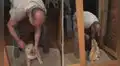 Papá no quería perros en casa y tiempo después lo descubren consintiendo a su cachorro