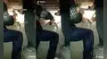 Perrito se atora en un agujero y familia rompe la pared de su hogar para que pueda salir