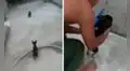 Niño causa ternura al jugar a ‘policías y ladrones’ junto a sus cachorros