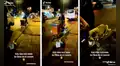 Perrito camina al lado de su dueño mientras lo ‘ayuda’ en su trabajo