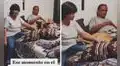 Padres no querían mascotas en casa, pero son captados en tierna escena con su perrita