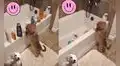 Descubren a perrito travieso tirando todos los envases de aseo dentro de la bañera