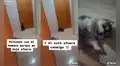 Perrita piensa que su dueño se fue a dormir sin ella y llora frente a la puerta del cuarto