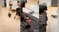 Joven viste a su perrito como araña y este aprovecha para asustar a su ‘hermano mayor’