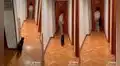 Mujer juega a las escondidas con su travieso gatito y protagonizan divertida escena