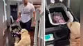Perrito muestra una adorable reacción al conocer al bebé de su dueño por primera vez 