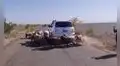 Ovejas toman por sorpresa a conductor al rodear su vehículo e impiden que siga su camino
