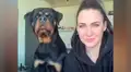 Mujer le da un beso a su perro rottweiler y este tiene una tierna reacción