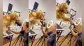 Estilista quiere fotografiar a un perro para mostrar su trabajo y can la rechaza efusivamente