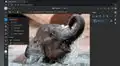 ¡Ahora podrás entrar a Photoshop desde la página web! Conoce los detalles aquí