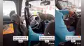 Sube a un taxi con su gato y chofer permite que el minino salga de su transportadora