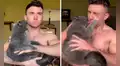 Gato tiene la costumbre de arañar a todos y su dueño descubre una técnica para evitarlo