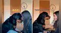 Mujer graba un video con su perro y este le demuestra todo su amor