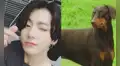 BTS: Jungkook dedica canción a Bam en In the SOOP 2 y provoca ternura en ARMY