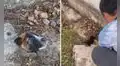 Joven le salva la vida a perro callejero que tenía la cabeza atascada en una alcantarilla