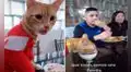 Familia consiente a su gatito y le permiten sentarse a comer con ellos en la mesa