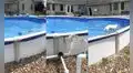 Encantador perrito muestra una peculiar forma de salir después de nadar en la piscina