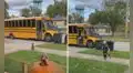 Perrito espera con ansias el autobús para recibir a su pequeño dueño que llega del colegio