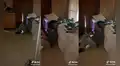 Joven tiene que leer un libro en el suelo porque sus 14 gatitos han ocupado toda su cama