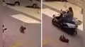 Perrito finge sufrir un grave accidente y le da un susto a su cuidador