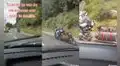 Joven coloca un cochecito en su moto para viajar con sus perros y no dejarlos solos en casa