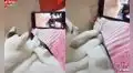 Adorable gatito observa el video de un felino moviendo la cabeza y empieza a hacer lo mismo