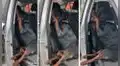 Perro sentado en el copiloto del auto ignora el llamado de su dueña por una curiosa razón