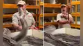 Hombre se acerca a colosal serpiente y esta abre sus mandíbulas para devorarlo