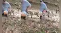 Hombre protagoniza una tierna disputa con su pequeño chivo y escena cautiva en redes