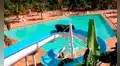 Vaca aprovecha descuido para escapar de su rancho y se mete a un parque acuático