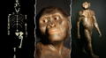 Lucy, la ‘madre de la humanidad’, cumple 47 años tras su descubrimiento