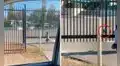 Gatita corre a los brazos de su dueña tras reencontrarse con ella después de dos meses 