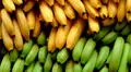 Conoce los 6 tipos de plátano favoritos de los peruanos