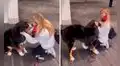 Perro acude al aeropuerto y se alegra al reencontrarse con su dueña después de meses 