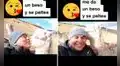 Curiosa alpaca tiene tierna reacción tras recibir el beso de un turista