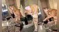 Graban a gatito intentando probar vino de la copa que su dueña dejó en su sala