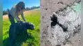 Perrito queda atrapado en el fango y fue salvado gracias a que pidió auxilio con ladridos