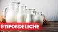 Conoce 9 tipos de leche y cuáles son los más adecuados para tus recetas