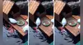 Pato alimenta con su comida a un grupo de hambrientos peces que esperaban en un estanque