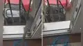 Mujer construye un ingenioso ascensor para que su gato pueda salir del edificio